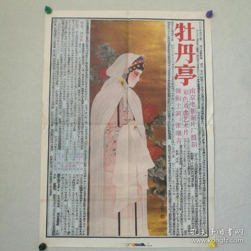 仿制得克萨斯州驾照